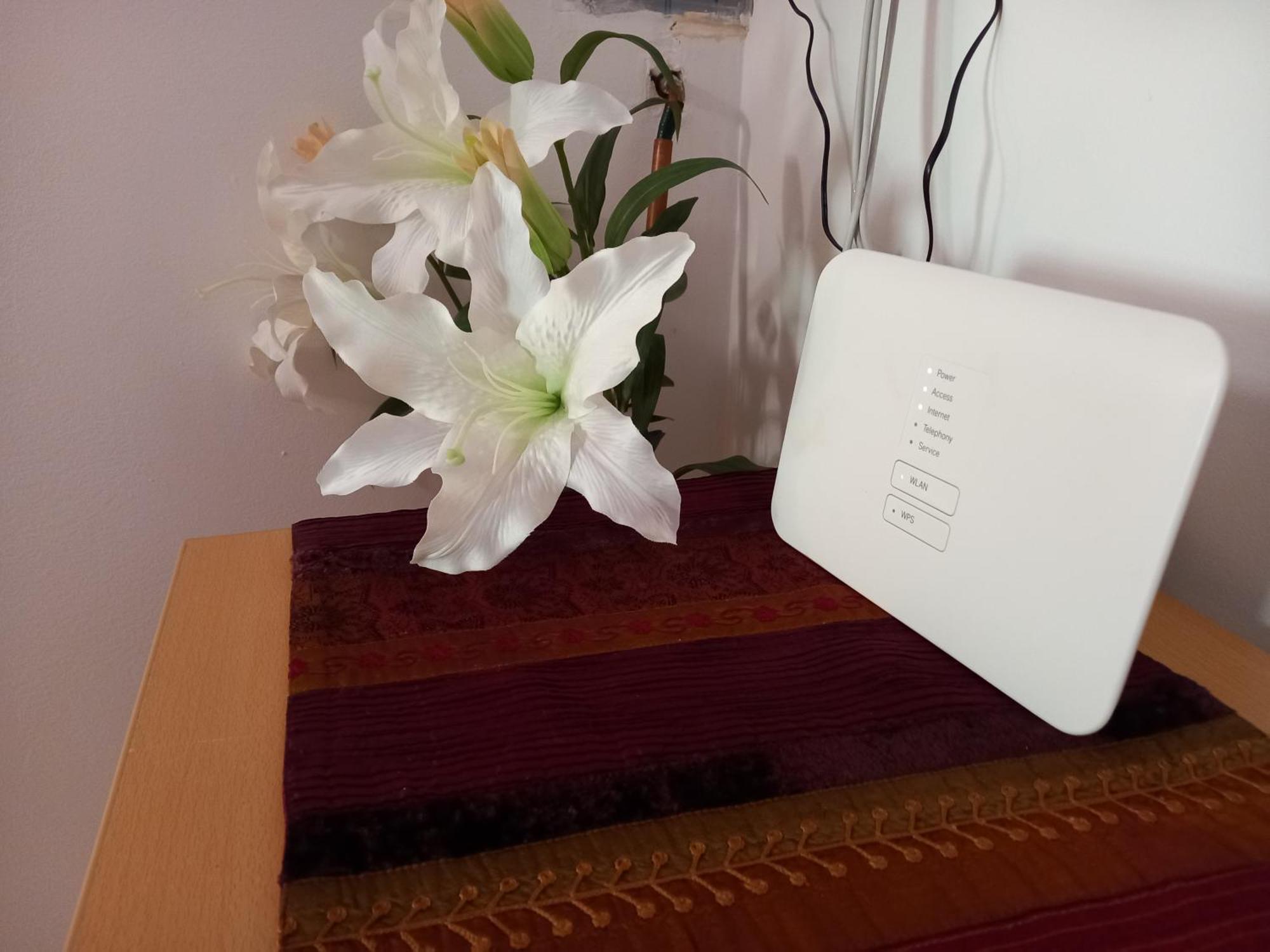 סיגליגט Feher Barany Apartment חדר תמונה