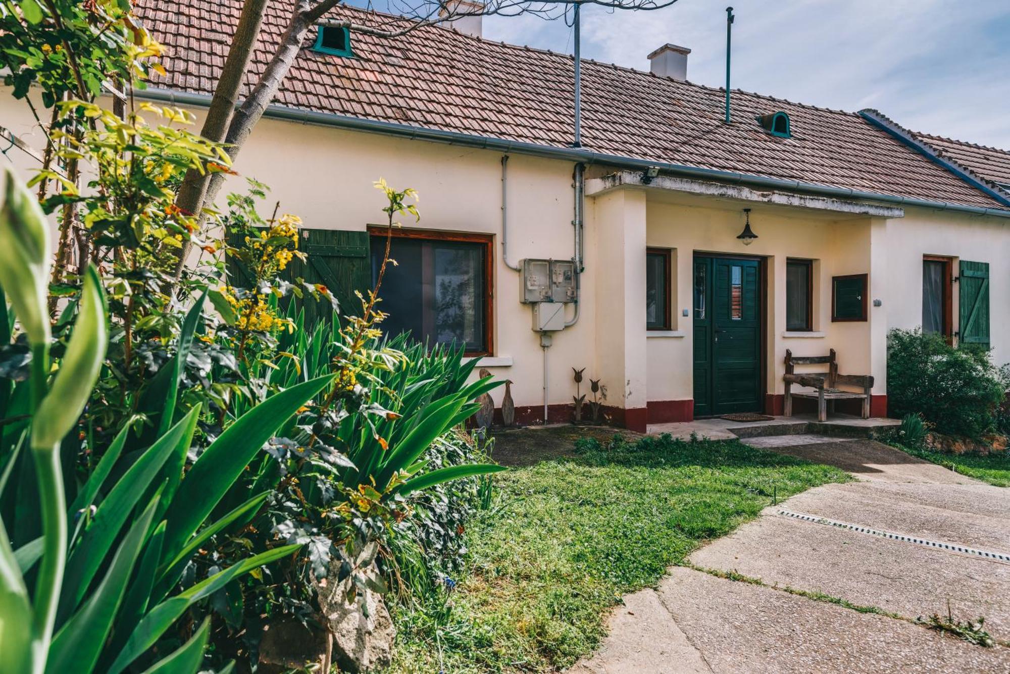 סיגליגט Feher Barany Apartment מראה חיצוני תמונה